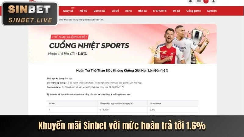 Chương trình VIP và hoàn trả